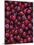 Flathead Sweet Cherries, Montana, USA-Chuck Haney-Mounted Photographic Print