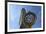 Flatiron and Clock-Robert Goldwitz-Framed Photographic Print