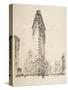 Flatiron Building, 1904-Joseph Pennell-Stretched Canvas