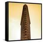 Flatiron Building Facade-Philippe Hugonnard-Framed Stretched Canvas