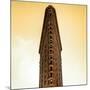 Flatiron Building Facade-Philippe Hugonnard-Mounted Photographic Print