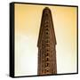 Flatiron Building Facade-Philippe Hugonnard-Framed Stretched Canvas