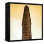 Flatiron Building Facade-Philippe Hugonnard-Framed Stretched Canvas