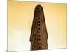 Flatiron Building Facade-Philippe Hugonnard-Mounted Photographic Print