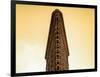 Flatiron Building Facade-Philippe Hugonnard-Framed Photographic Print