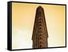 Flatiron Building Facade-Philippe Hugonnard-Framed Stretched Canvas
