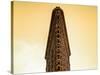 Flatiron Building Facade-Philippe Hugonnard-Stretched Canvas