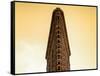 Flatiron Building Facade-Philippe Hugonnard-Framed Stretched Canvas