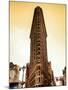 Flatiron Building Facade-Philippe Hugonnard-Mounted Photographic Print