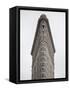 Flatiron Building, Manhattan, New York City, New York, USA-Jon Arnold-Framed Stretched Canvas