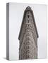 Flatiron Building, Manhattan, New York City, New York, USA-Jon Arnold-Stretched Canvas