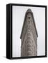 Flatiron Building, Manhattan, New York City, New York, USA-Jon Arnold-Framed Stretched Canvas