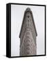 Flatiron Building, Manhattan, New York City, New York, USA-Jon Arnold-Framed Stretched Canvas