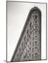 Flatiron Building, Manhattan, New York City, USA-Jon Arnold-Mounted Photographic Print