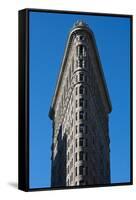 Flatiron Building New York City Photo Poster-null-Framed Stretched Canvas