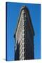 Flatiron Building New York City Photo Poster-null-Stretched Canvas