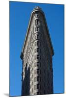 Flatiron Building New York City Photo Poster-null-Mounted Poster