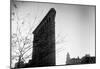 Flatiron Building New York City-null-Mounted Poster