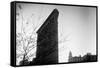 Flatiron Building New York City-null-Framed Stretched Canvas