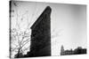 Flatiron Building New York City-null-Stretched Canvas