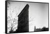 Flatiron Building New York City-null-Framed Stretched Canvas