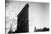 Flatiron Building New York City-null-Stretched Canvas