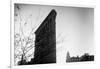 Flatiron Building New York City-null-Framed Photo