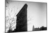 Flatiron Building New York City-null-Mounted Photo