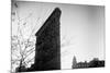 Flatiron Building New York City-null-Mounted Photo