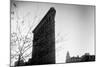Flatiron Building New York City-null-Mounted Photo