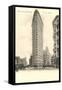 Flatiron Building, New York City-null-Framed Stretched Canvas