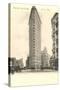 Flatiron Building, New York City-null-Stretched Canvas