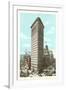 Flatiron Building, New York City-null-Framed Art Print