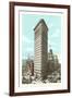 Flatiron Building, New York City-null-Framed Art Print