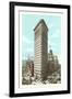 Flatiron Building, New York City-null-Framed Art Print