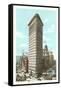 Flatiron Building, New York City-null-Framed Stretched Canvas