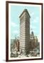 Flatiron Building, New York City-null-Framed Art Print