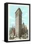 Flatiron Building, New York City-null-Framed Stretched Canvas
