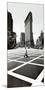 Flatiron Building, New York-Torsten Hoffman-Mounted Art Print