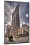 Flatiron Building New York-null-Mounted Art Print