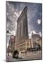 Flatiron Building New York-null-Mounted Art Print