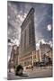 Flatiron Building New York-null-Mounted Art Print