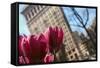 Flatiron Building NYC as Seen Through Flowers-null-Framed Stretched Canvas