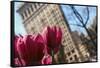 Flatiron Building NYC as Seen Through Flowers-null-Framed Stretched Canvas