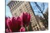 Flatiron Building NYC as Seen Through Flowers-null-Stretched Canvas