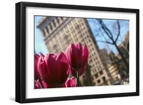 Flatiron Building NYC as Seen Through Flowers-null-Framed Photo