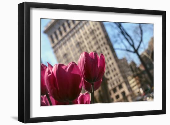 Flatiron Building NYC as Seen Through Flowers-null-Framed Photo