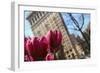 Flatiron Building NYC as Seen Through Flowers-null-Framed Photo