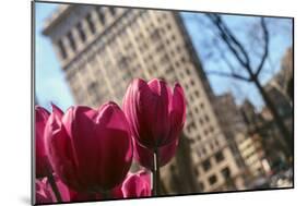 Flatiron Building NYC as Seen Through Flowers-null-Mounted Photo