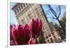 Flatiron Building NYC as Seen Through Flowers-null-Framed Photo